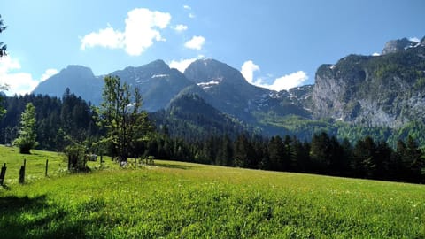 Annaberg Apartment in Salzburgerland