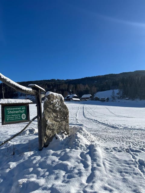 Steinerhof Farm Stay in Carinthia, Austria
