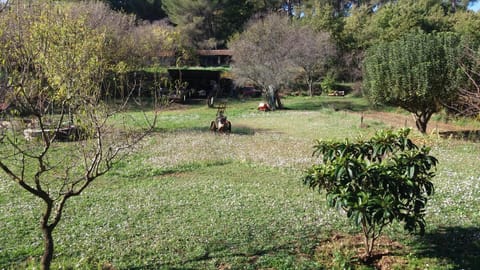 Property building, Natural landscape