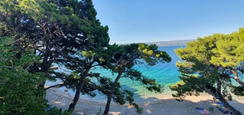 Natural landscape, Beach