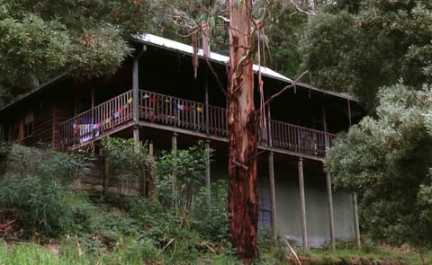 Tall Trees Eco Retreat Nature lodge in Apollo Bay