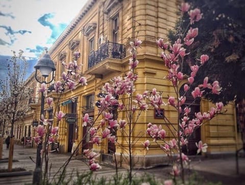 Lella Apartment - Pedestrian zone & Charming balcony Appartamento in Belgrade