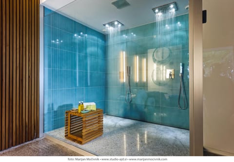 Shower, Bathroom, Spa and wellness centre/facilities, Decorative detail, Decorative detail