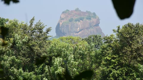 Sigiri Sarilco Rock View Treehouse Capanno nella natura in Dambulla