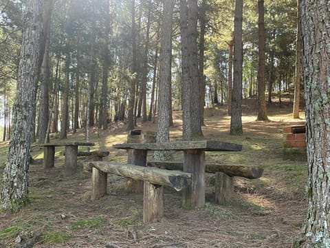 BBQ facilities, Garden