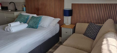 Bed, Living room, Photo of the whole room, Seating area, Bedroom