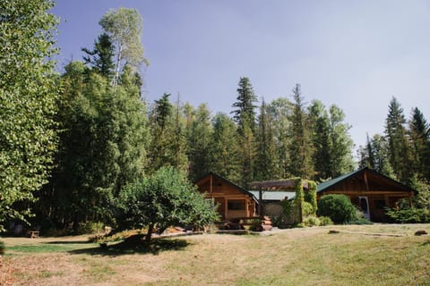 Cedar Haven Cabins and Resort Resort in Alberta