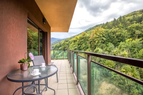 Balcony/Terrace, Mountain view