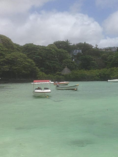 Natural landscape, Swimming pool