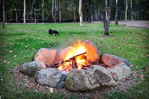 Airlie Beach Eco Cabins - Adults Only Nature lodge in Whitsundays