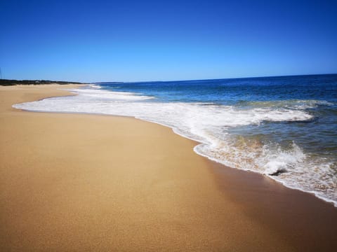 Natural landscape, Beach