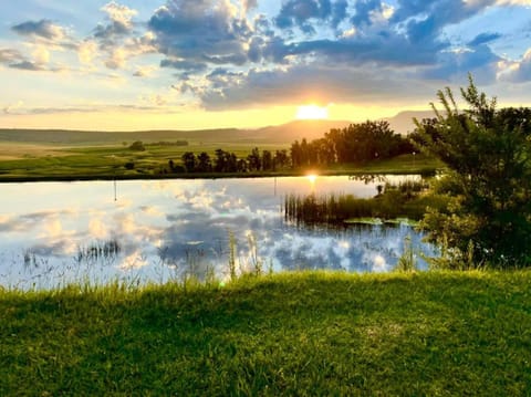 Grey Goose Game Lodge Nature lodge in KwaZulu-Natal