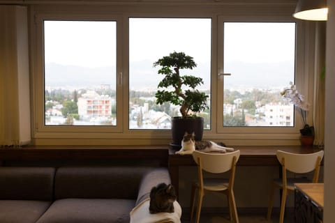 Living room, Decorative detail, Seating area, Pets, City view, Landmark view, Mountain view