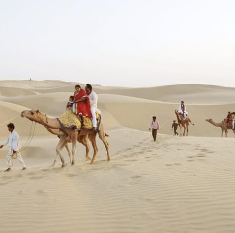 Mariyan Desert Safari Camp Campground/ 
RV Resort in Sindh