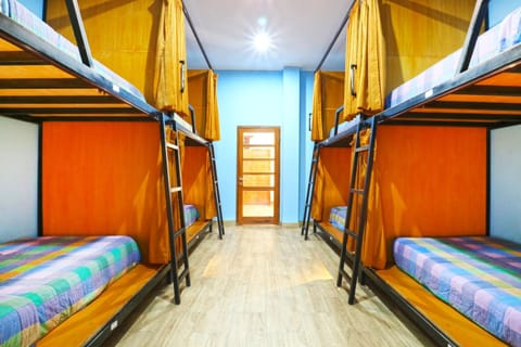 Bedroom, bunk bed