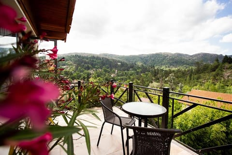 Natural landscape, View (from property/room), Balcony/Terrace, Mountain view