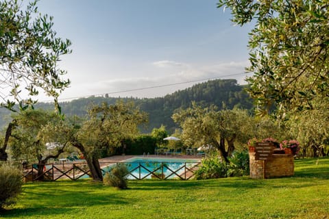 Spring, Day, Natural landscape, Garden, Garden view, Mountain view, Pool view, Swimming pool