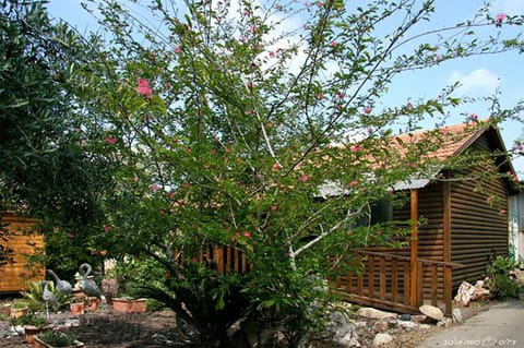 Hadas - Love Natur-Lodge in North District