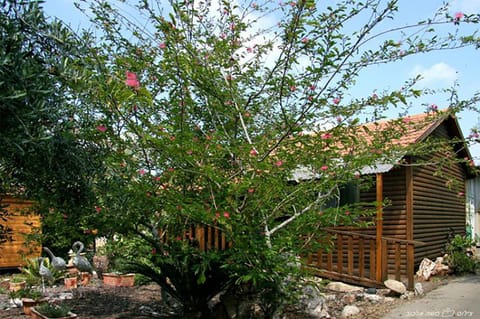 Hadas - Love Nature lodge in North District