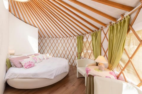 Bed, Seating area, Bedroom