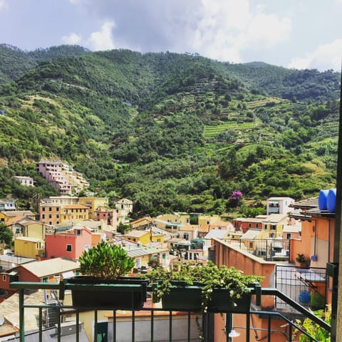 View (from property/room)