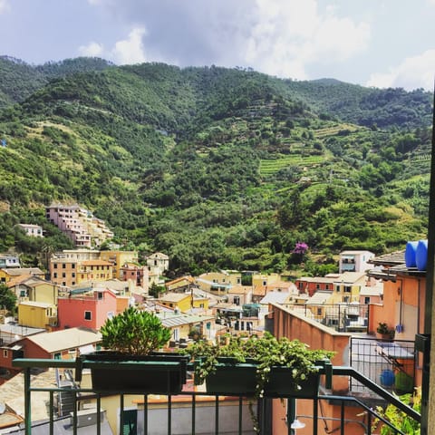 View (from property/room)