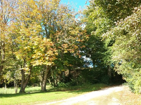 Facade/entrance, Garden