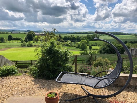 Garden, Garden view, sunbed