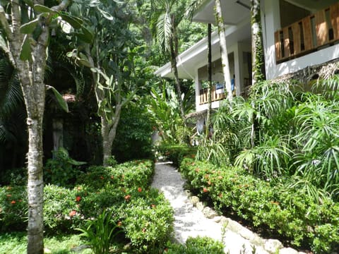 Property building, Facade/entrance, Garden