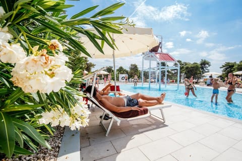 Zaton Holiday Resort Resort in Zadar County