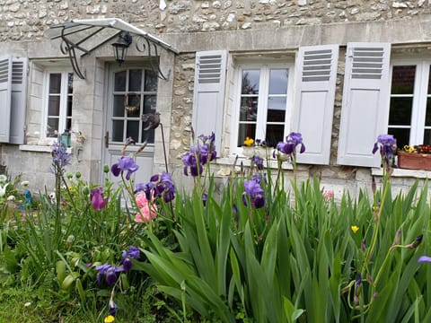 Spring, Day, Garden, Garden view