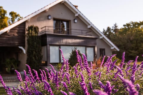 Property building, Facade/entrance, Bird's eye view, Garden, Garden view