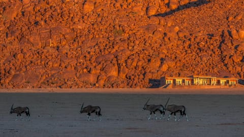 View (from property/room), Animals, Animals