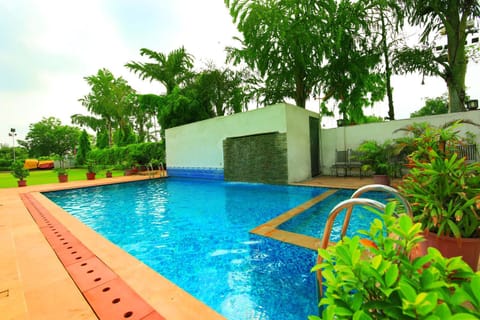 Garden, Swimming pool