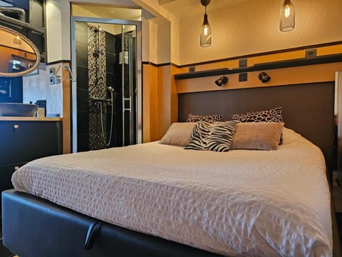 Apartment Naturist Cap In Loft Eigentumswohnung in Agde