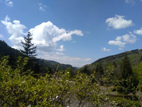Mountain view