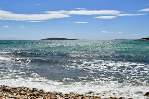 Spring, Day, Natural landscape