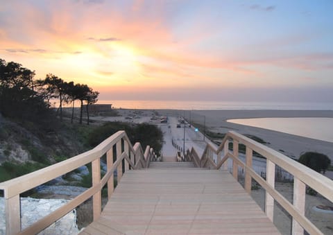 Restaurant/places to eat, Beach