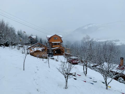 Cabana Muntele Paltinei Nature lodge in Cluj County