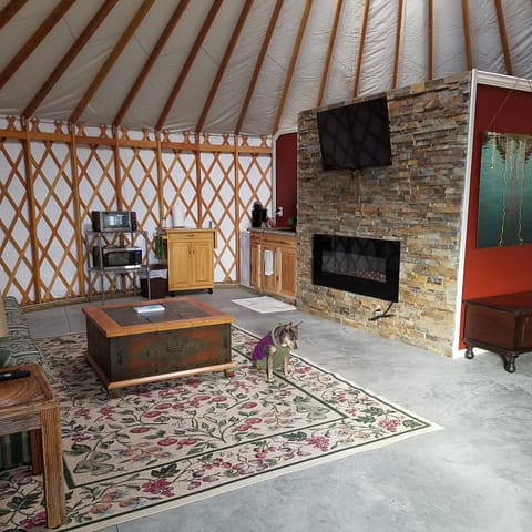 Yale Manor B&B & Yurt Glamping Bed and Breakfast in Varick