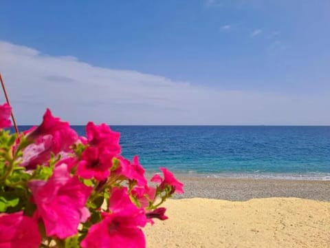 Beach, Sea view