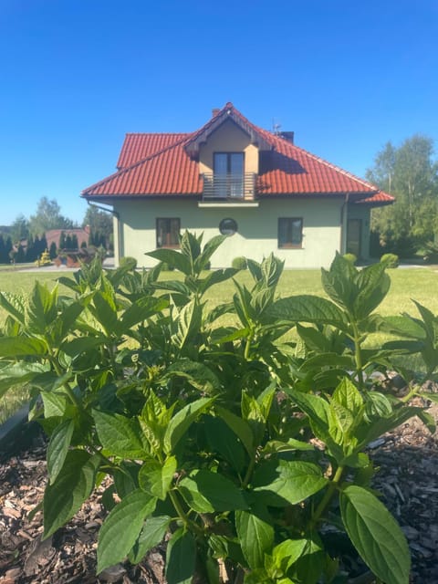 Property building, Garden, Garden view