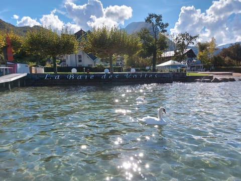 Studio les Pieds dans L'eau au bord du lac d'Annecy Apartamento in Talloires