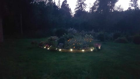 Night, Garden, Garden view