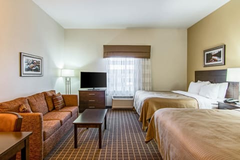 Sleep Inn & Suites West-Near Medical Center Hôtel in Rochester