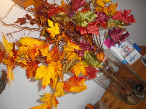 Hotel Amaryllis Hotel in Zeeland, Netherlands