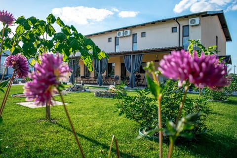 Pensiunea Almada Bed and Breakfast in Timiș County