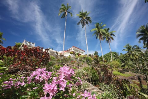 Bird's eye view, Garden view, Mountain view