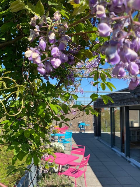 Property building, Balcony/Terrace