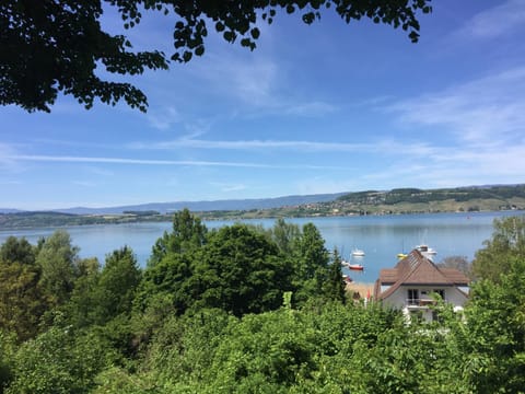 Ferienwohnung Burg Murten Apartment in Fribourg, Switzerland